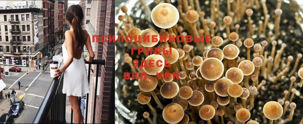 кокс Навашино