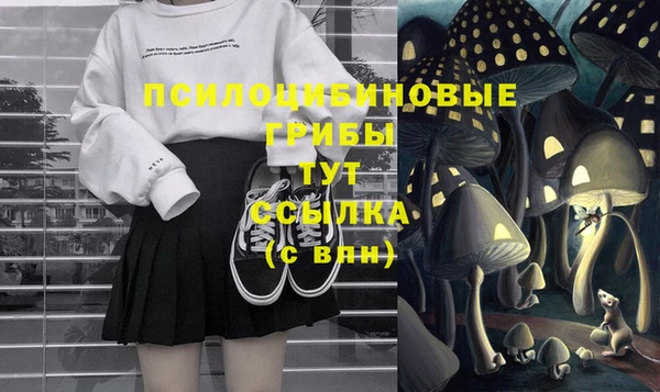 спайс Трёхгорный