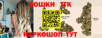 прущие грибы Гагарин
