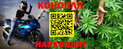 прущие грибы Гагарин