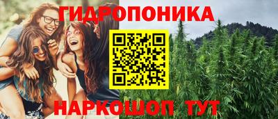 прущие грибы Гагарин