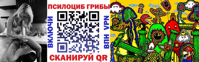 купить наркотик  Прокопьевск  нарко площадка Telegram  Галлюциногенные грибы MAGIC MUSHROOMS 