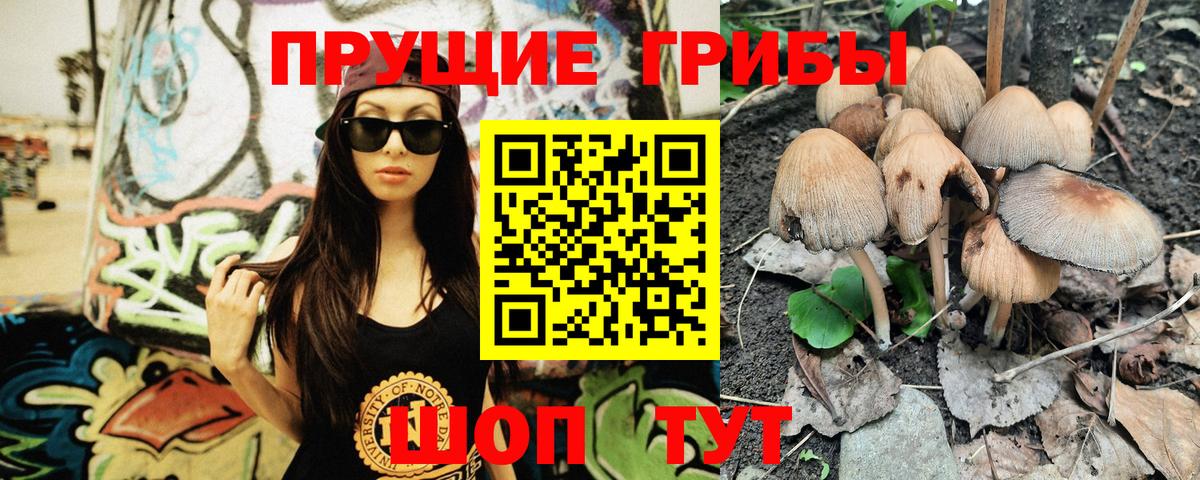 Псилоцибиновые грибы прущие грибы Прокопьевск